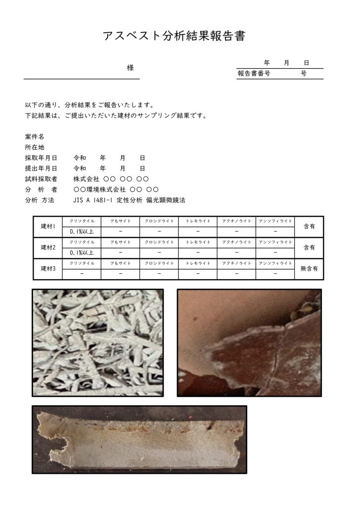 分析結果報告書のサンプル画像