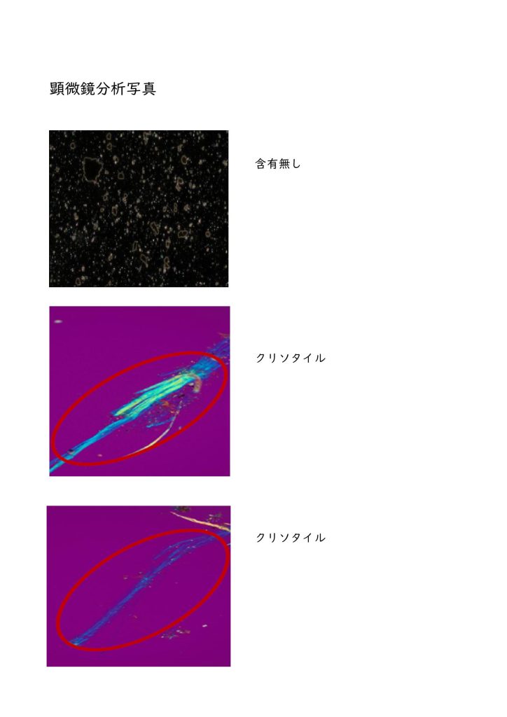 分析結果報告書の顕微鏡写真