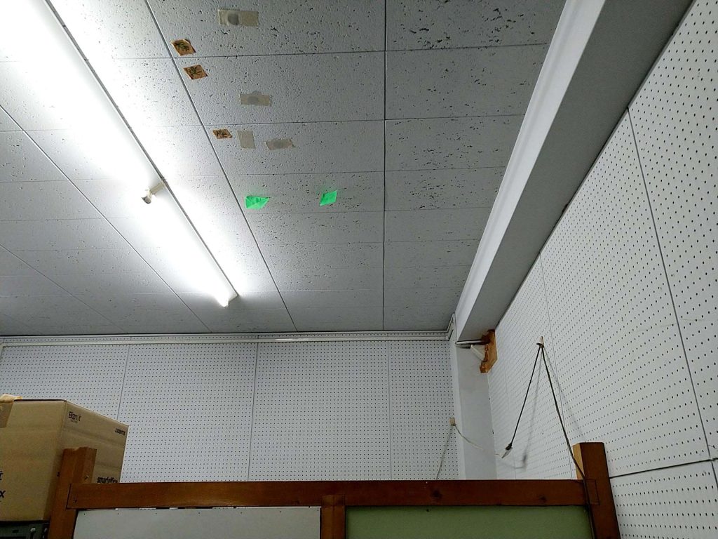 調査箇所の写真2